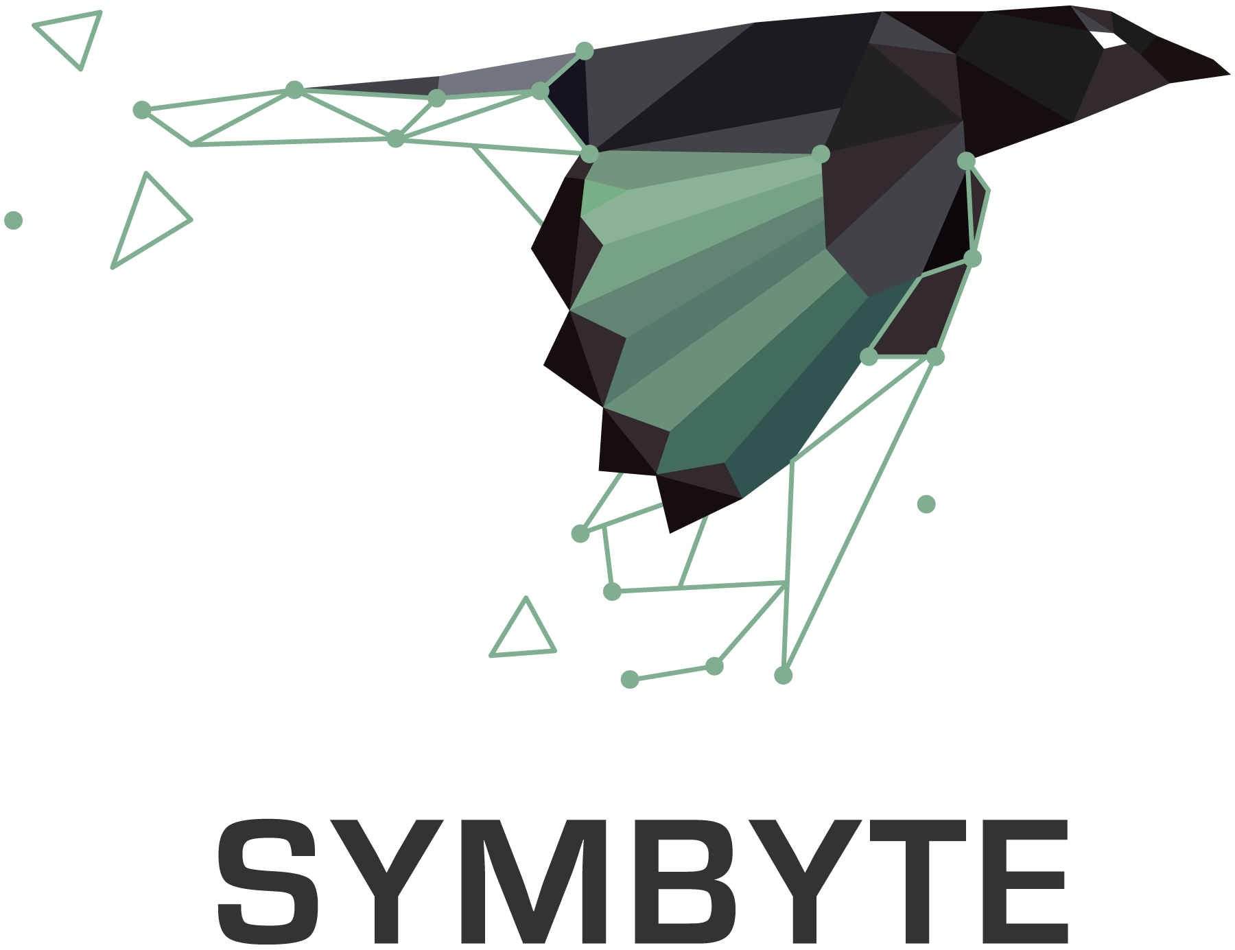 Symbyte